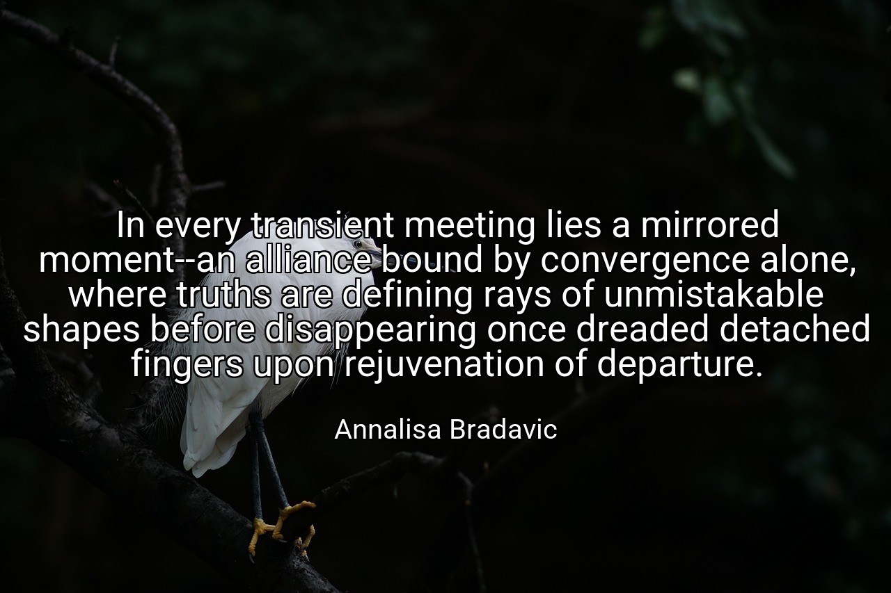 In every transient meeting lies a mirrored moment--an alliance bound by convergence alone, where truths are defining rays of unmistakable shapes before disappearing once dreaded detached fingers upon rejuvenation of departure. - Annalisa Bradavic