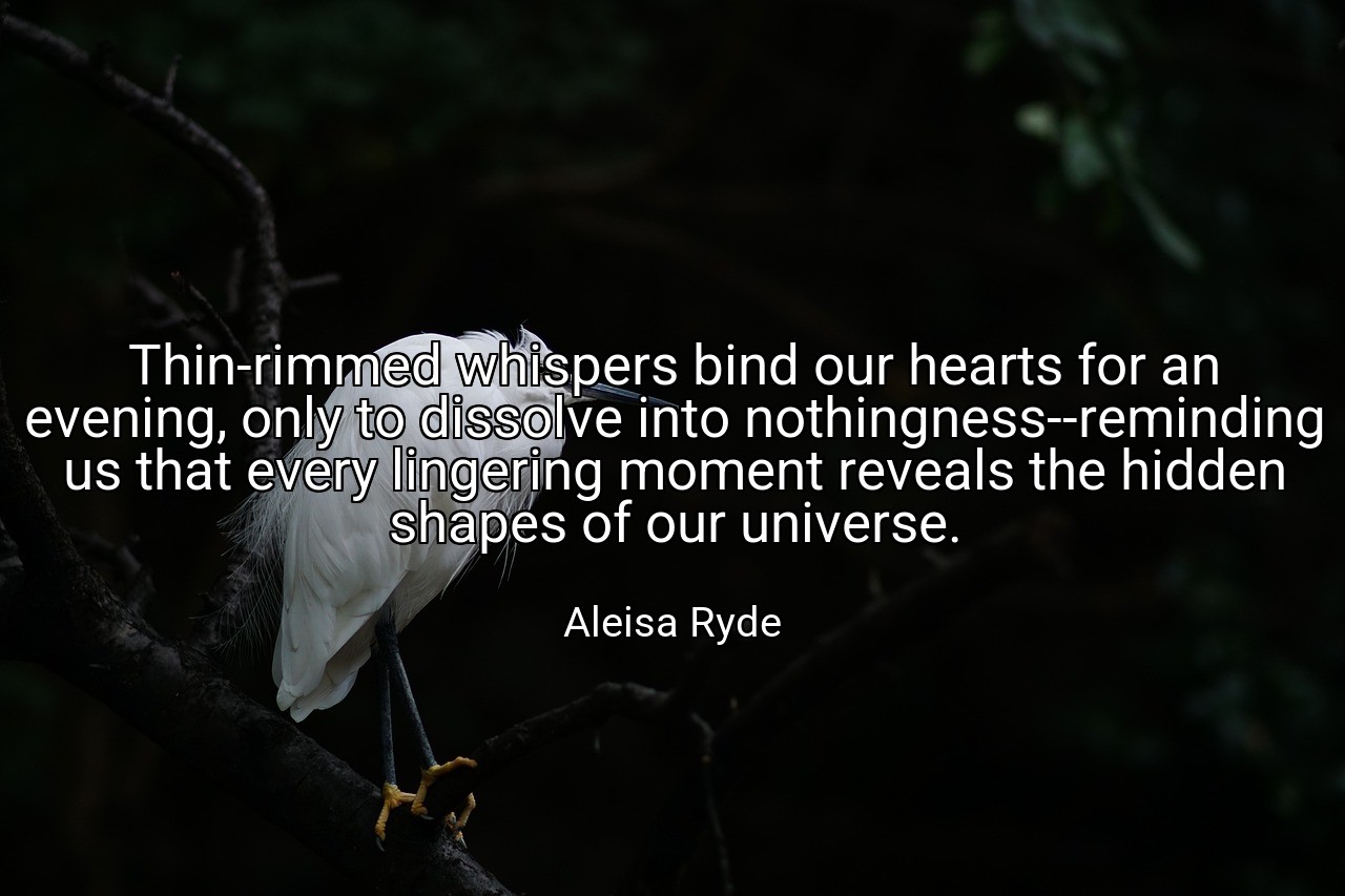 Thin-rimmed whispers bind our hearts for an evening, only to dissolve into nothingness--reminding us that every lingering moment reveals the hidden shapes of our universe. - Aleisa Ryde