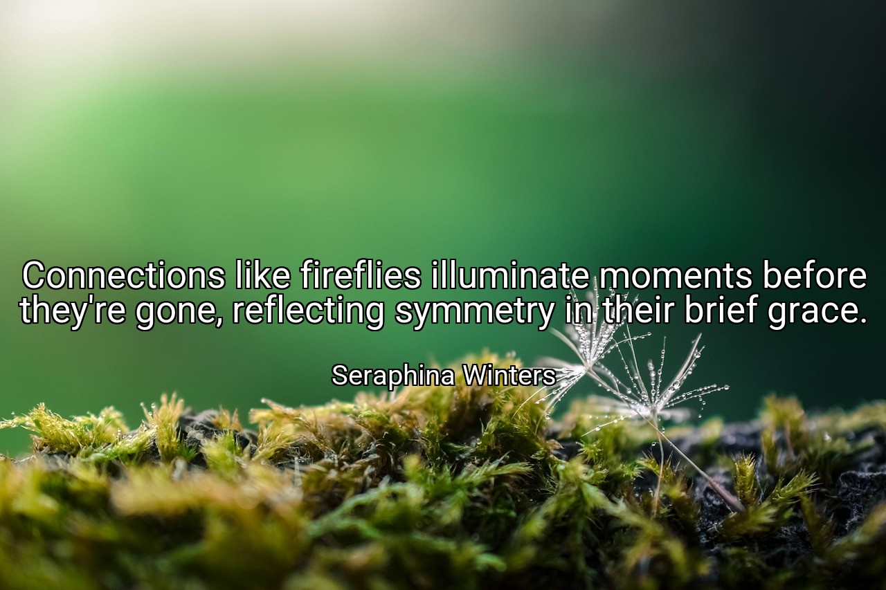 Connections like fireflies illuminate moments before they're gone, reflecting symmetry in their brief grace. - Seraphina Winters