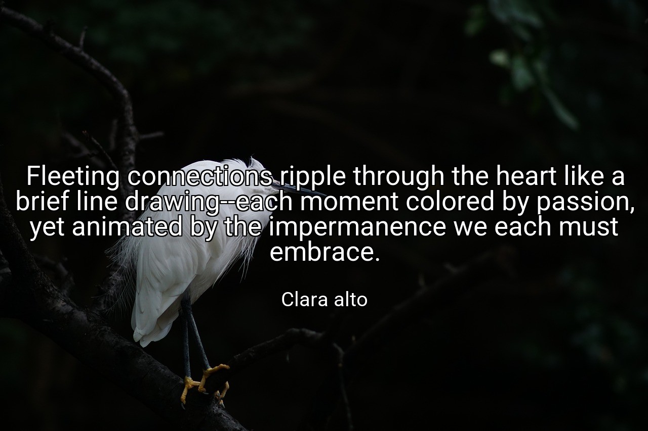 Fleeting connections ripple through the heart like a brief line drawing--each moment colored by passion, yet animated by the impermanence we each must embrace. - Clara alto