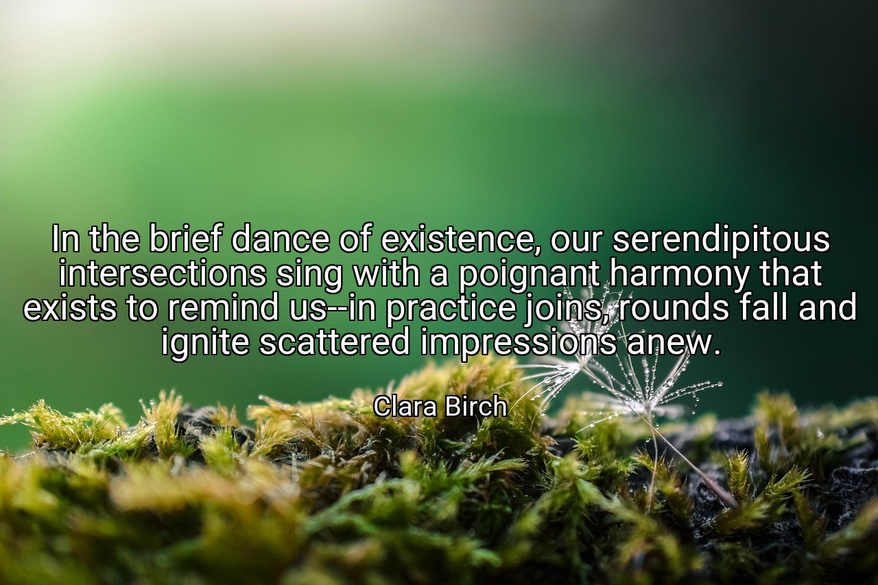 In the brief dance of existence, our serendipitous intersections sing with a poignant harmony that exists to remind us--in practice joins, rounds fall and ignite scattered impressions anew. - Clara Birch