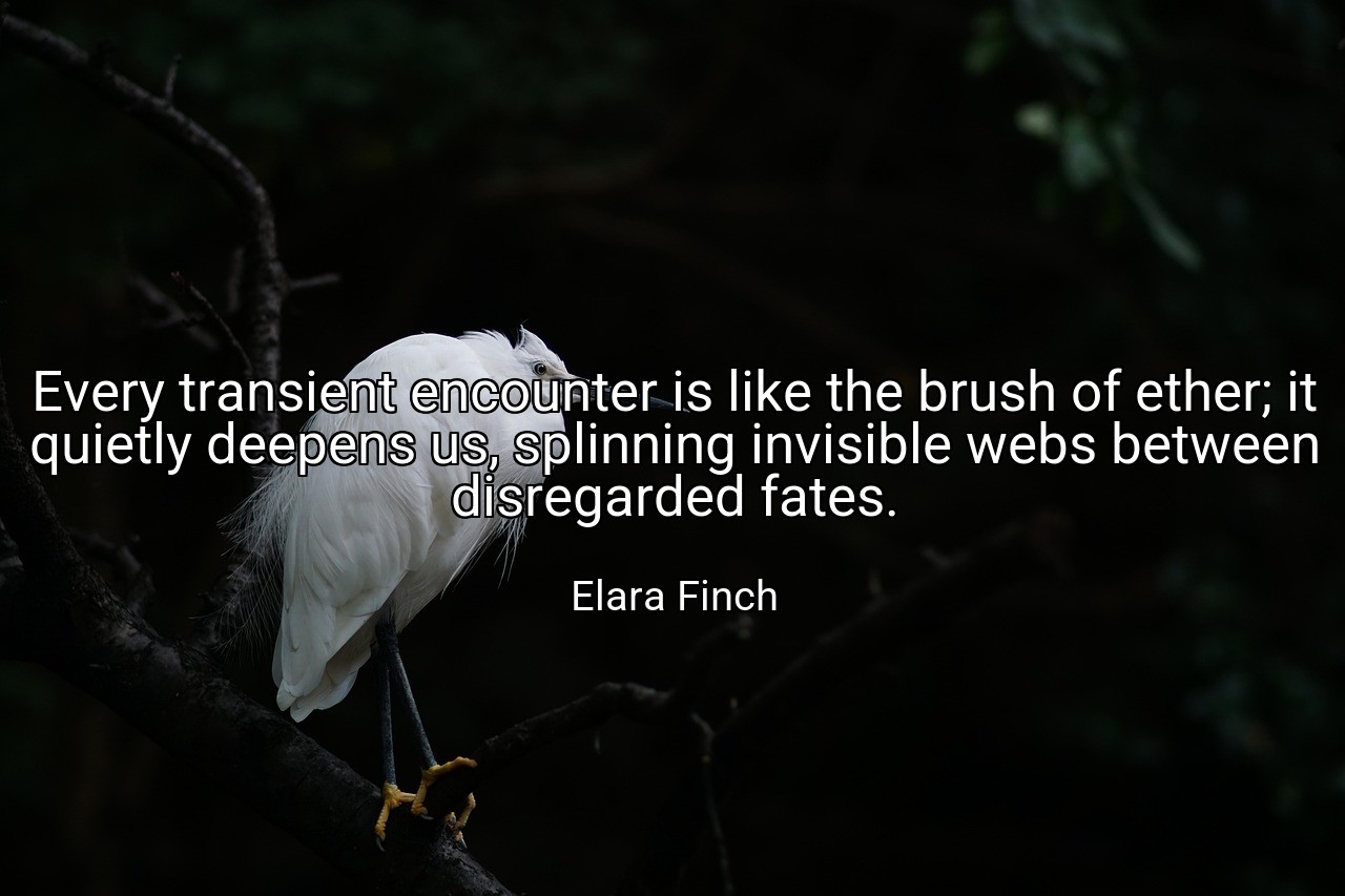Every transient encounter is like the brush of ether; it quietly deepens us, splinning invisible webs between disregarded fates. - Elara Finch