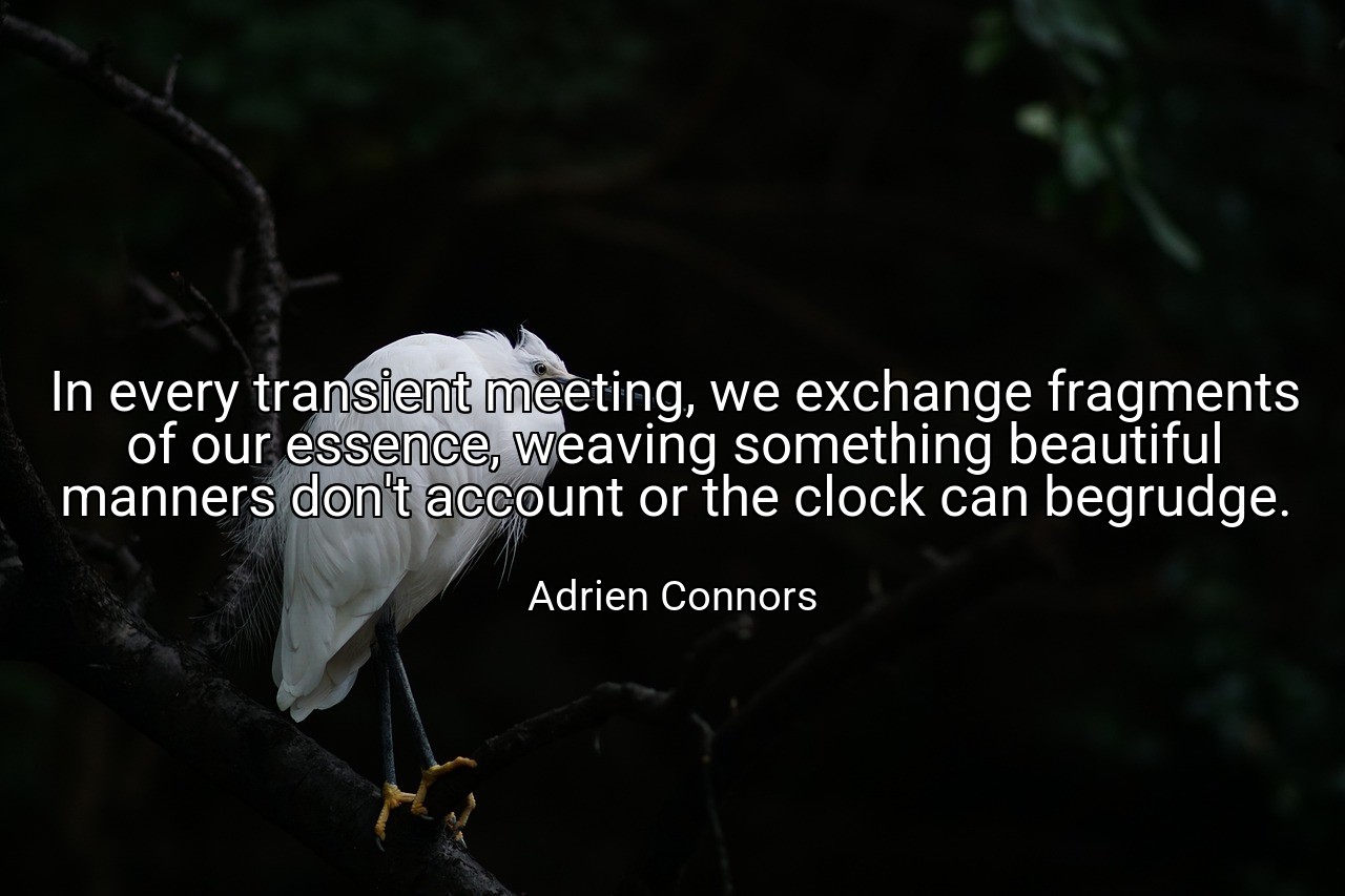 In every transient meeting, we exchange fragments of our essence, weaving something beautiful manners don't account or the clock can begrudge. - Adrien Connors