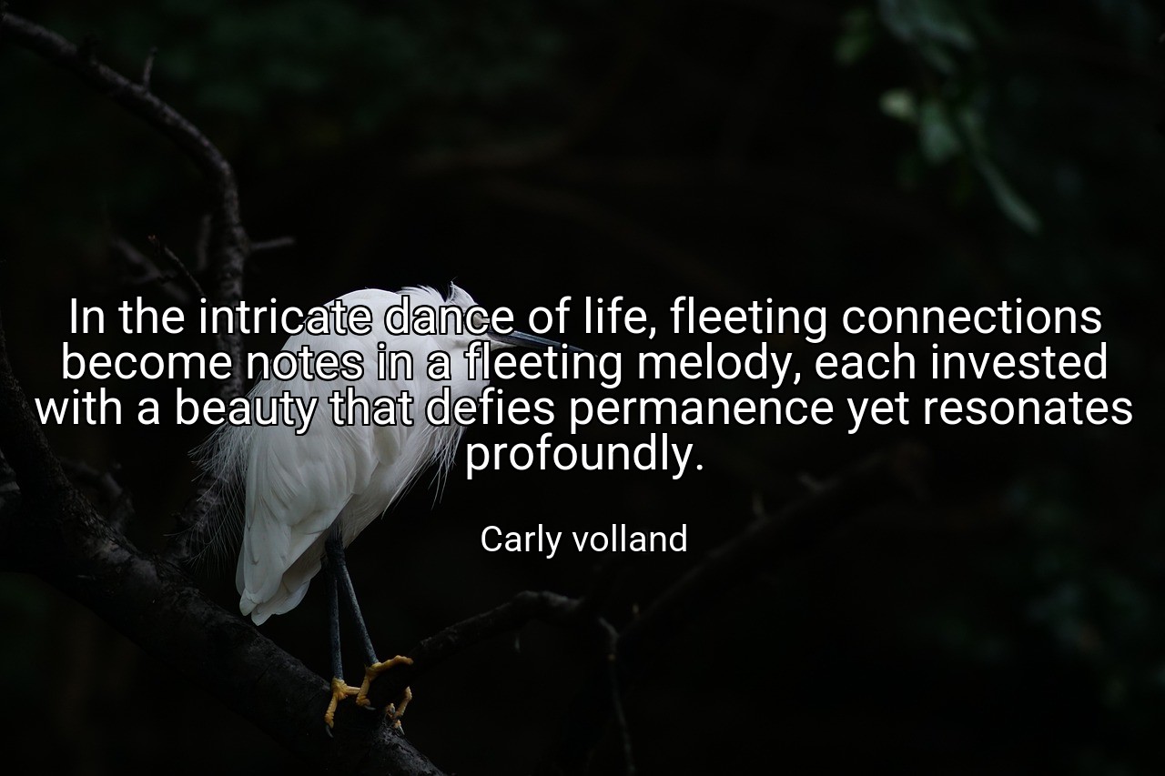 In the intricate dance of life, fleeting connections become notes in a fleeting melody, each invested with a beauty that defies permanence yet resonates profoundly. - Carly volland