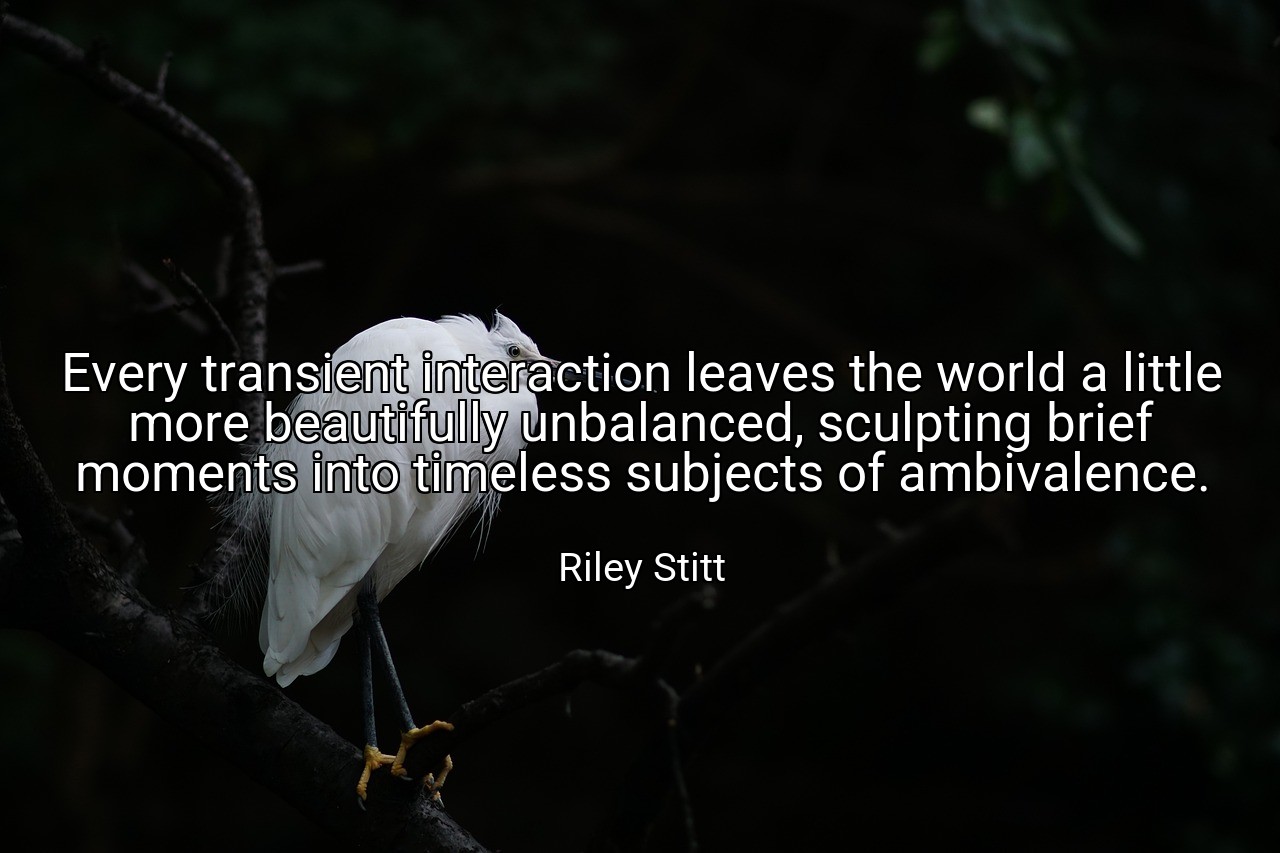 Every transient interaction leaves the world a little more beautifully unbalanced, sculpting brief moments into timeless subjects of ambivalence. - Riley Stitt