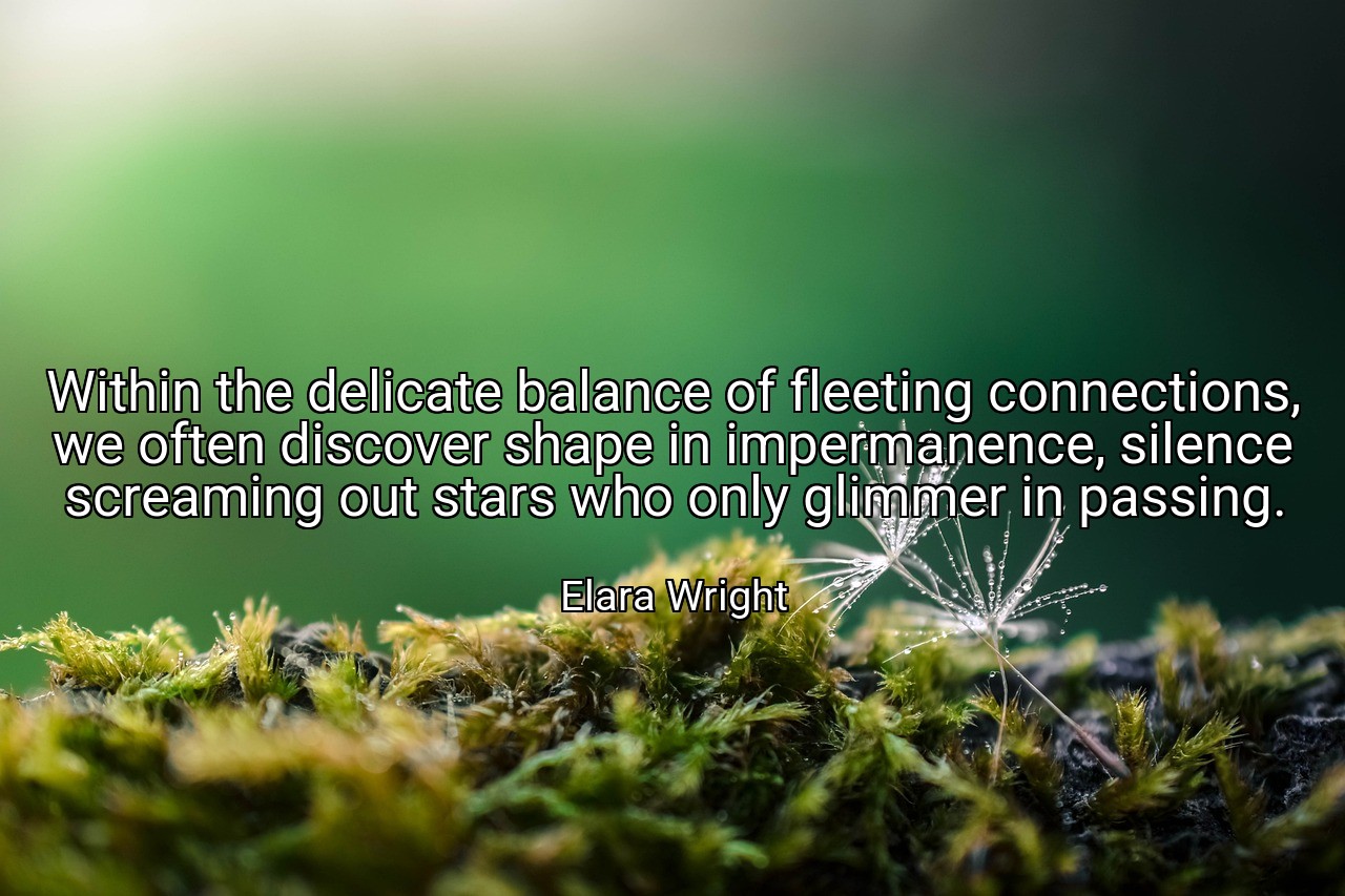 Within the delicate balance of fleeting connections, we often discover shape in impermanence, silence screaming out stars who only glimmer in passing. - Elara Wright