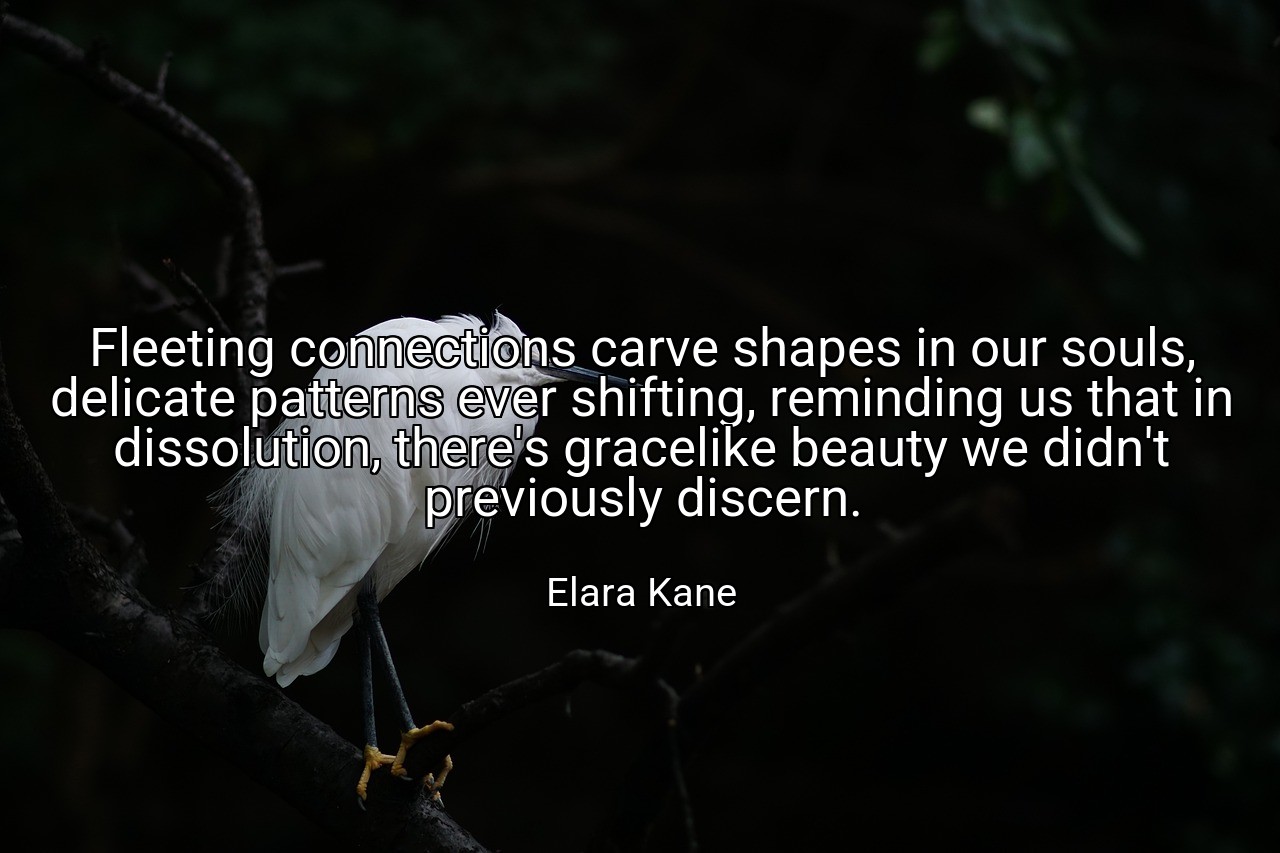 Fleeting connections carve shapes in our souls, delicate patterns ever shifting, reminding us that in dissolution, there's gracelike beauty we didn't previously discern. - Elara Kane