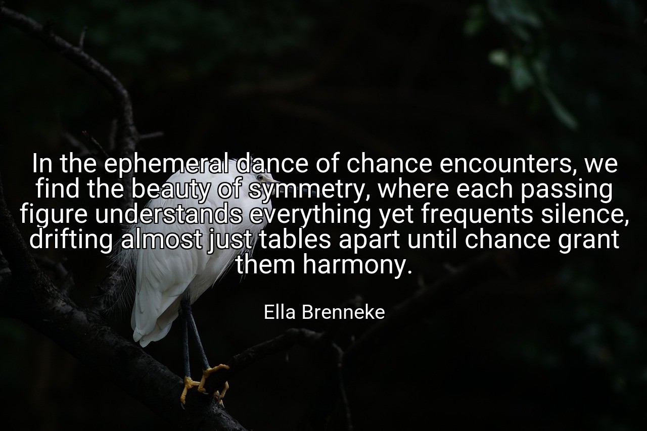 In the ephemeral dance of chance encounters, we find the beauty of symmetry, where each passing figure understands everything yet frequents silence, drifting almost just tables apart until chance grant them harmony. - Ella Brenneke