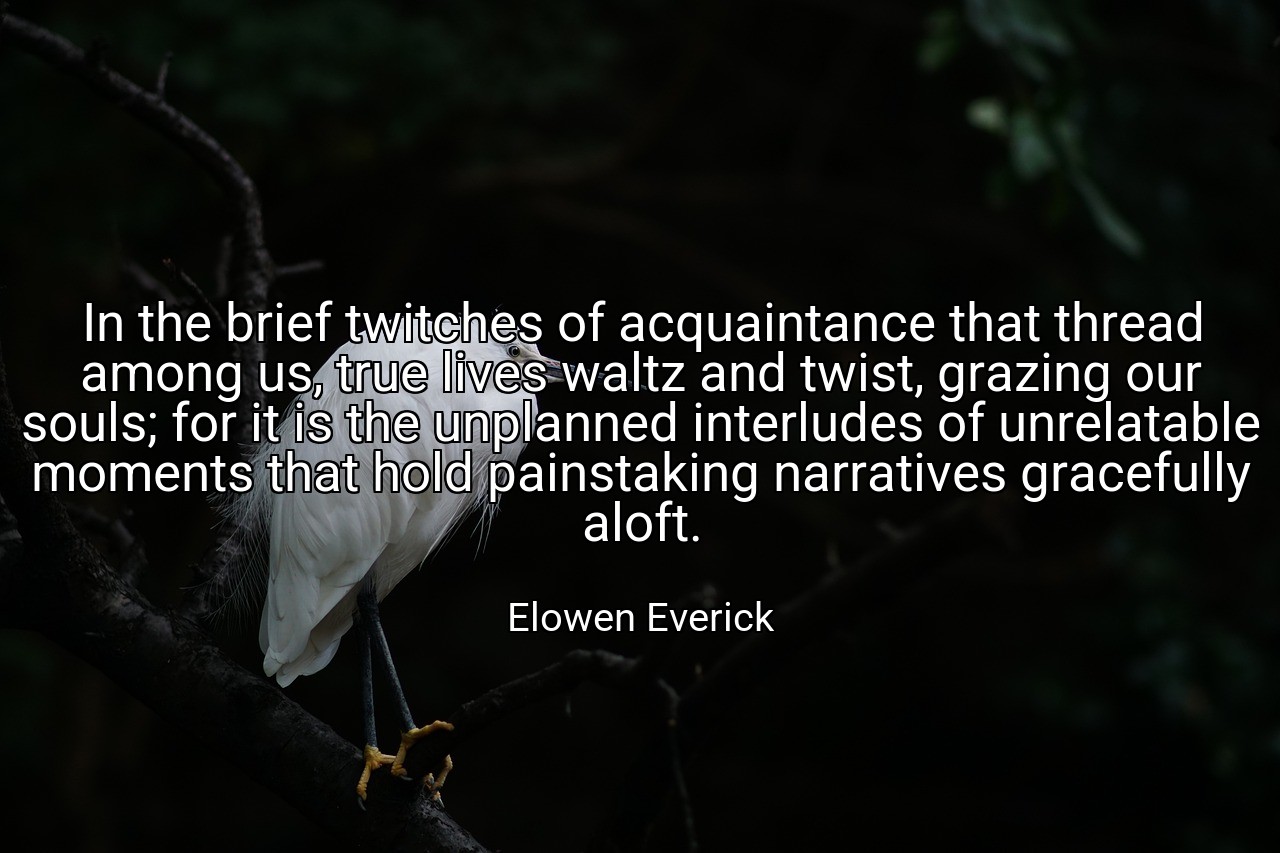 In the brief twitches of acquaintance that thread among us, true lives waltz and twist, grazing our souls; for it is the unplanned interludes of unrelatable moments that hold painstaking narratives gracefully aloft. - Elowen Everick