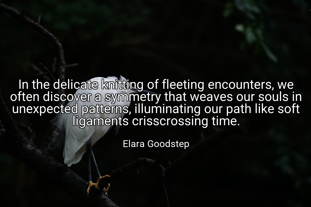 In the delicate knitting of fleeting encounters, we often discover a symmetry that weaves our souls in unexpected patterns, illuminating our path like soft ligaments crisscrossing time. - Elara Goodstep
