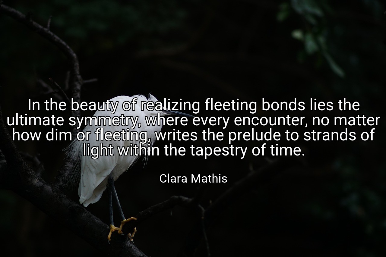 In the beauty of realizing fleeting bonds lies the ultimate symmetry, where every encounter, no matter how dim or fleeting, writes the prelude to strands of light within the tapestry of time. - Clara Mathis