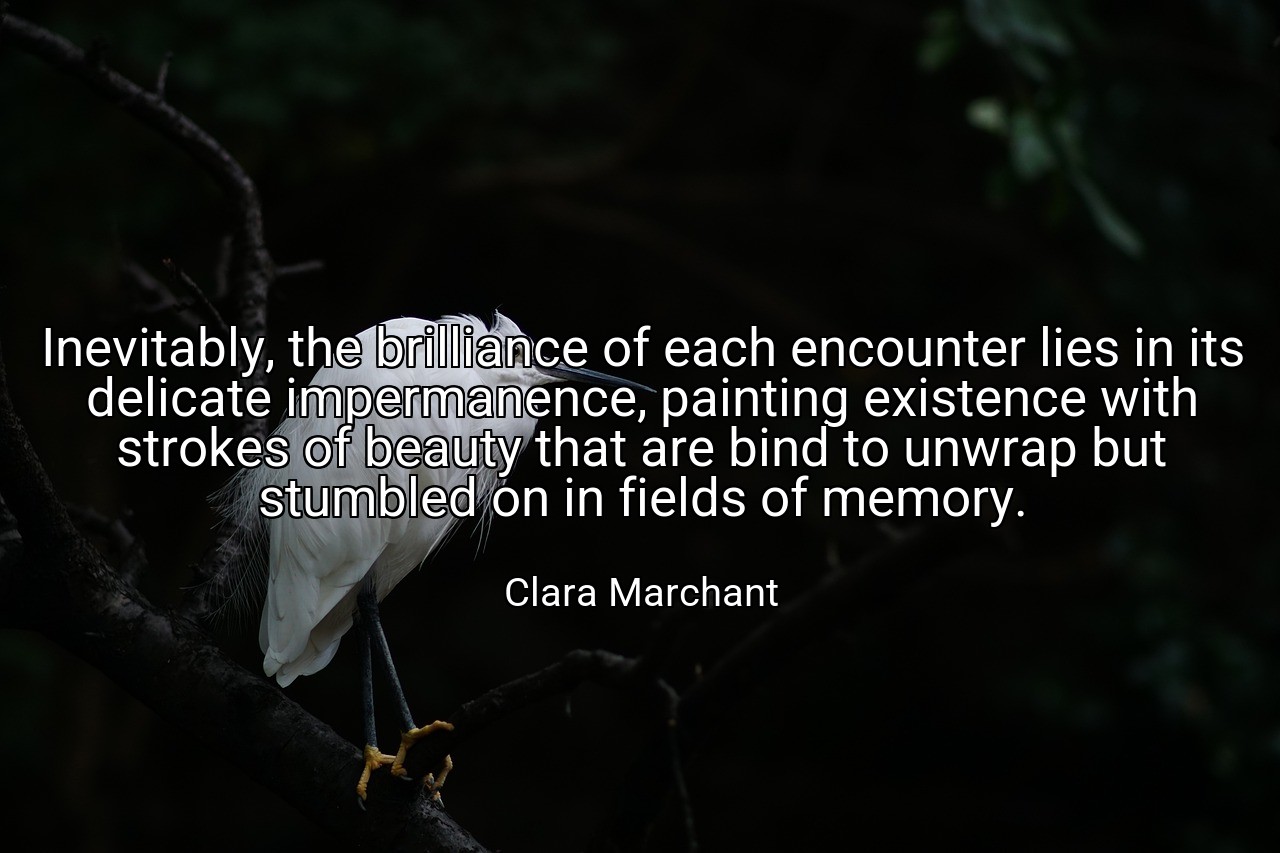 Inevitably, the brilliance of each encounter lies in its delicate impermanence, painting existence with strokes of beauty that are bind to unwrap but stumbled on in fields of memory. - Clara Marchant