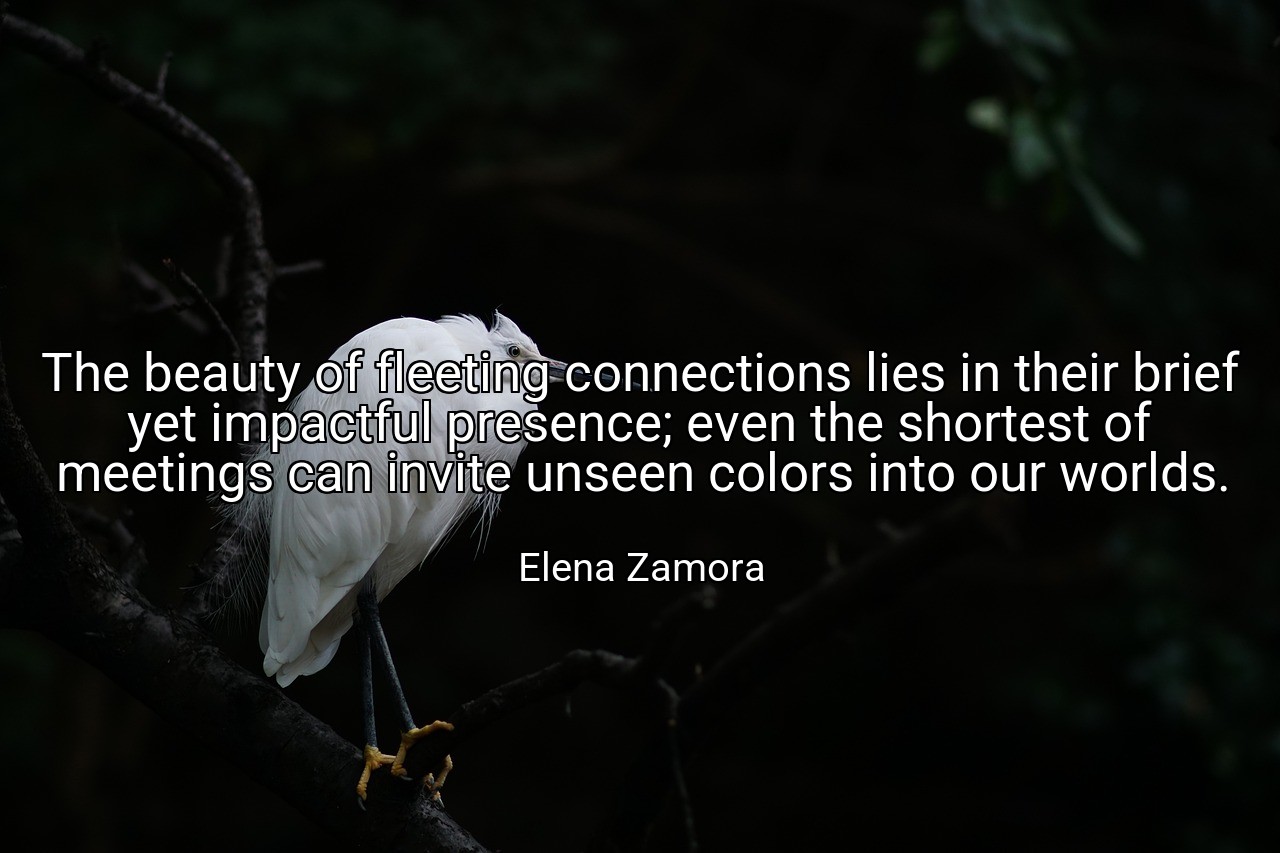 The beauty of fleeting connections lies in their brief yet impactful presence; even the shortest of meetings can invite unseen colors into our worlds. - Elena Zamora