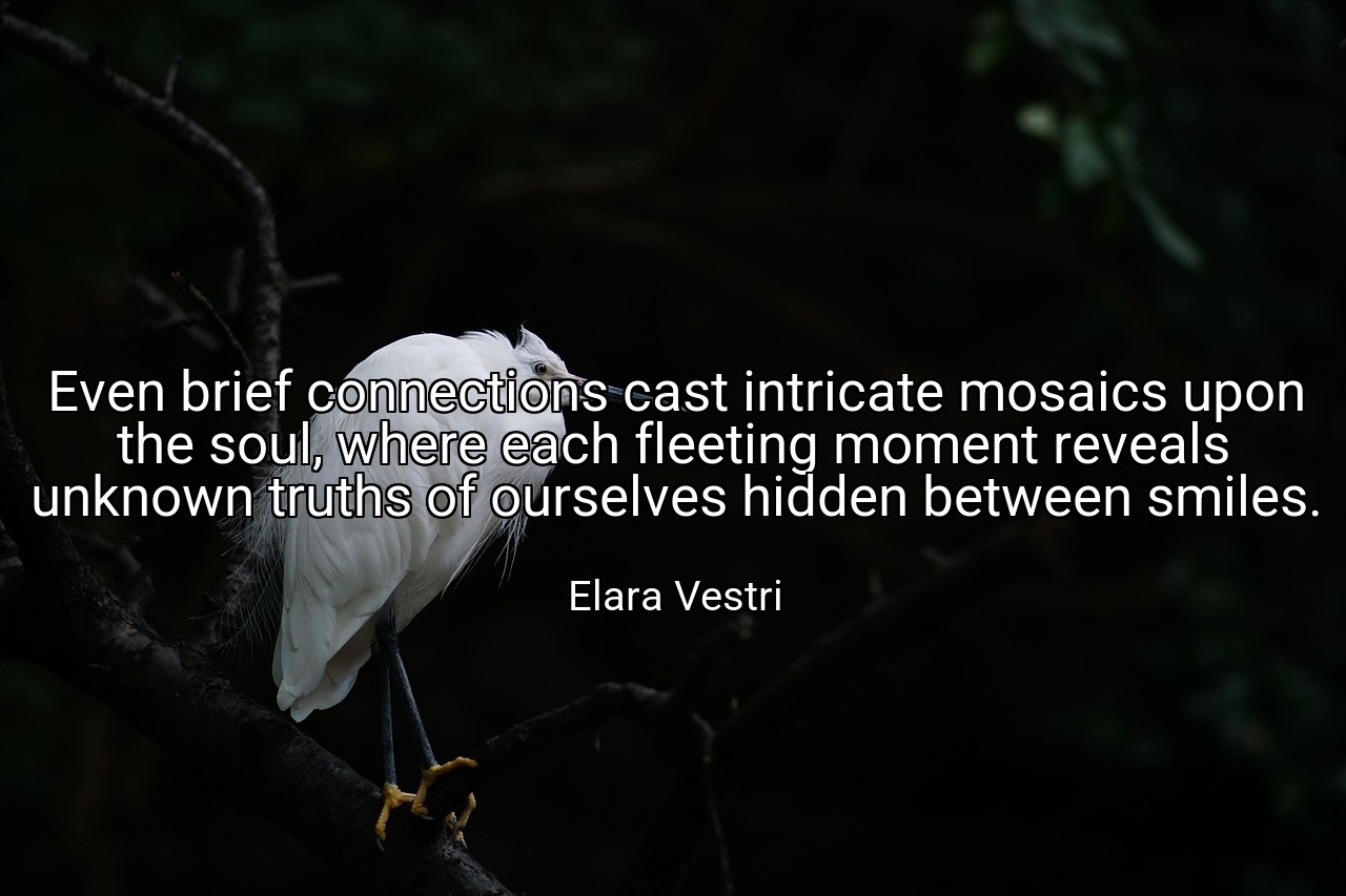 Even brief connections cast intricate mosaics upon the soul, where each fleeting moment reveals unknown truths of ourselves hidden between smiles. - Elara Vestri