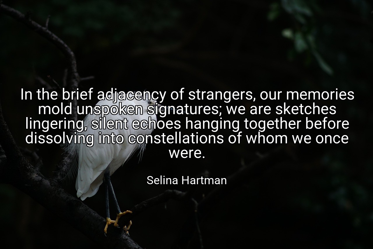 In the brief adjacency of strangers, our memories mold unspoken signatures; we are sketches lingering, silent echoes hanging together before dissolving into constellations of whom we once were. - Selina Hartman