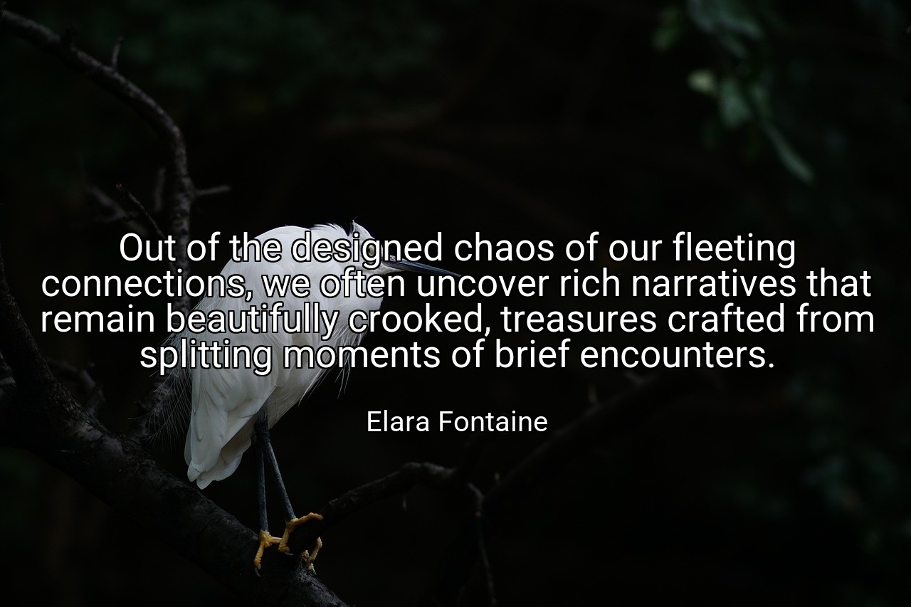 Out of the designed chaos of our fleeting connections, we often uncover rich narratives that remain beautifully crooked, treasures crafted from splitting moments of brief encounters. - Elara Fontaine