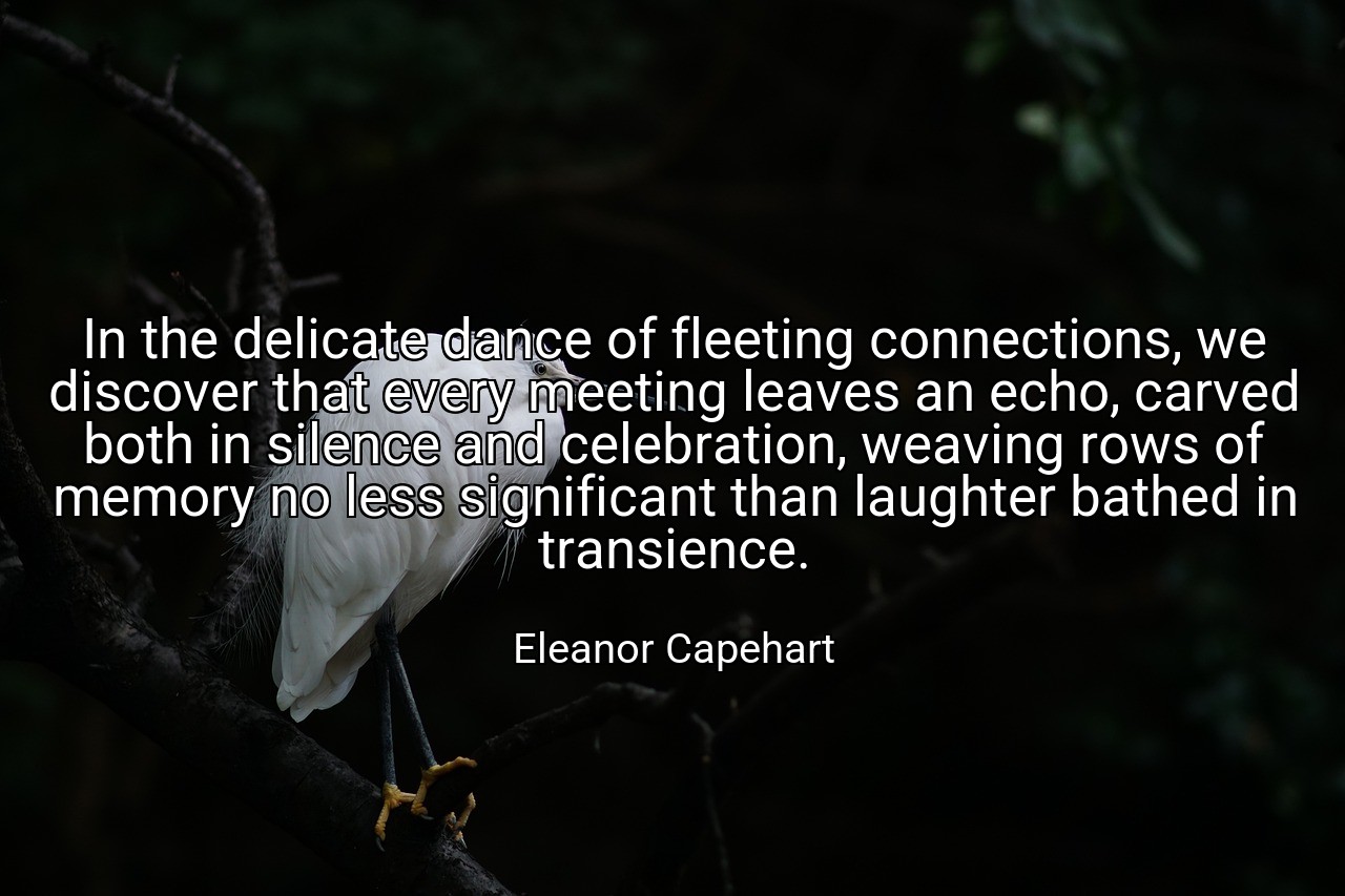 In the delicate dance of fleeting connections, we discover that every meeting leaves an echo, carved both in silence and celebration, weaving rows of memory no less significant than laughter bathed in transience. - Eleanor Capehart