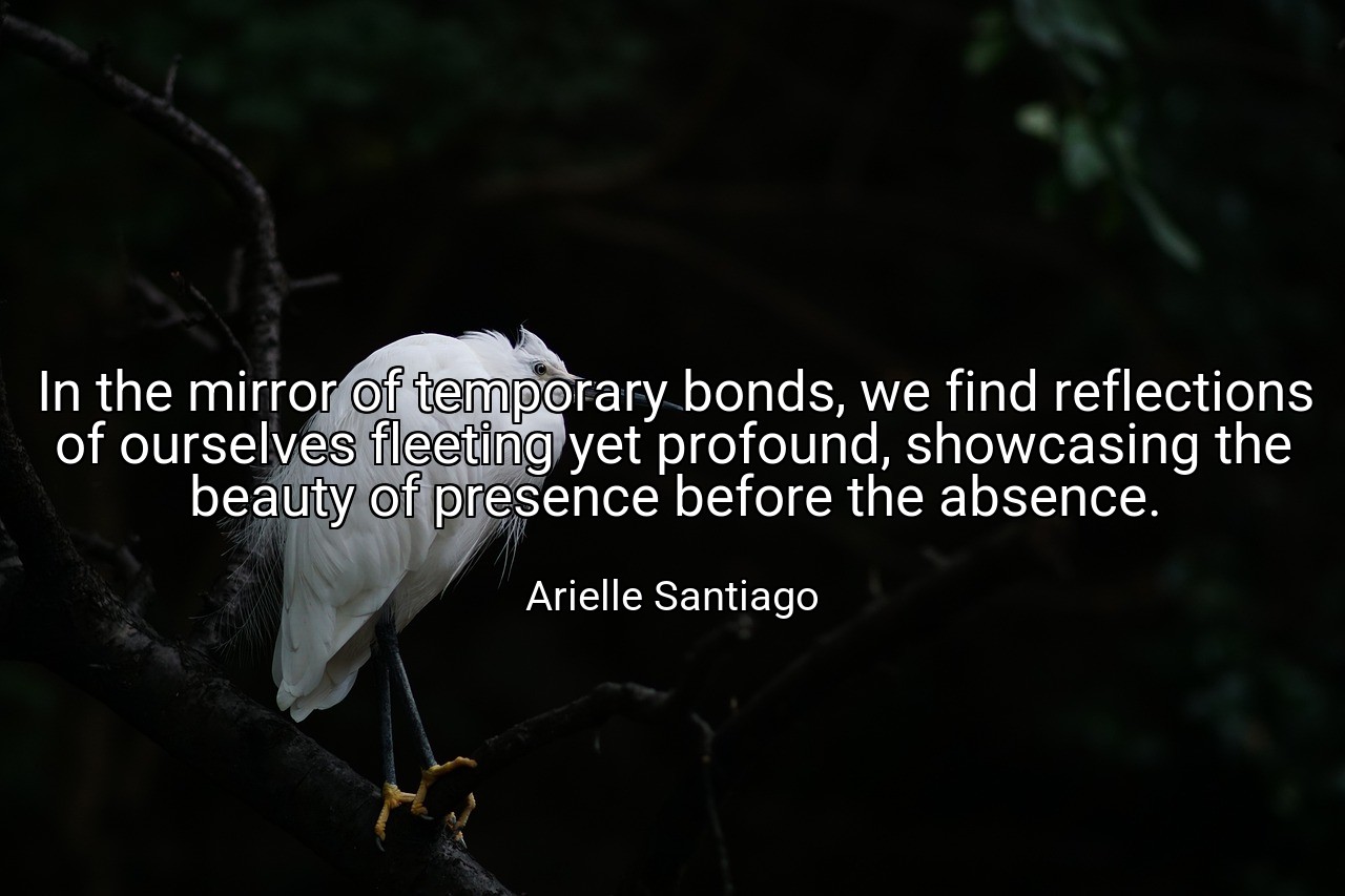 In the mirror of temporary bonds, we find reflections of ourselves fleeting yet profound, showcasing the beauty of presence before the absence. - Arielle Santiago