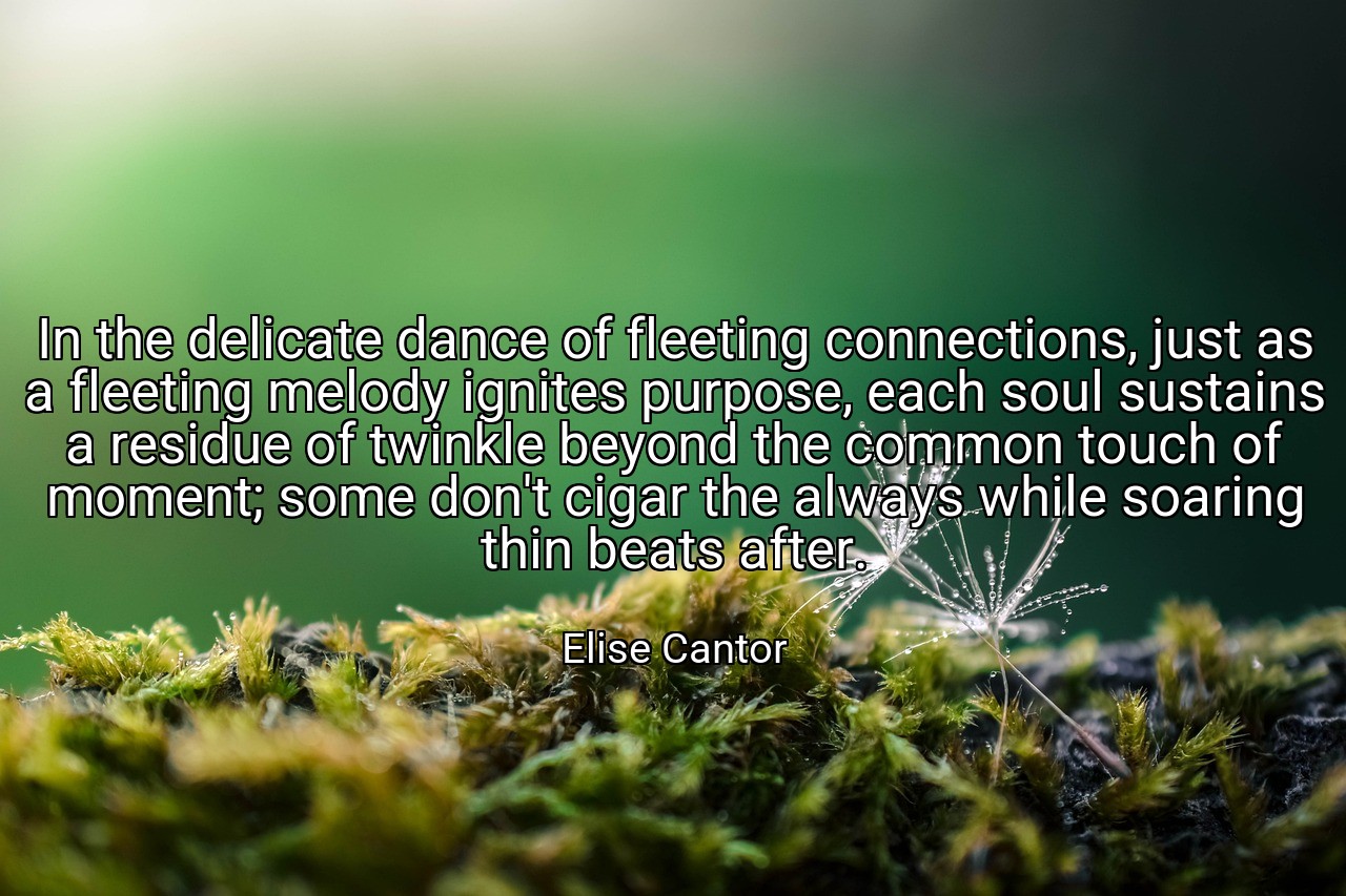 In the delicate dance of fleeting connections, just as a fleeting melody ignites purpose, each soul sustains a residue of twinkle beyond the common touch of moment; some don't cigar the always while soaring thin beats after. - Elise Cantor