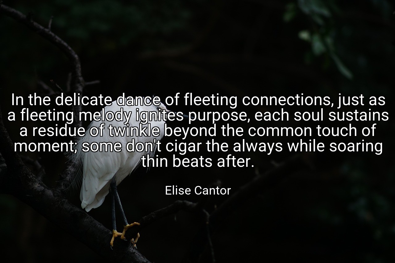 In the delicate dance of fleeting connections, just as a fleeting melody ignites purpose, each soul sustains a residue of twinkle beyond the common touch of moment; some don't cigar the always while soaring thin beats after. - Elise Cantor