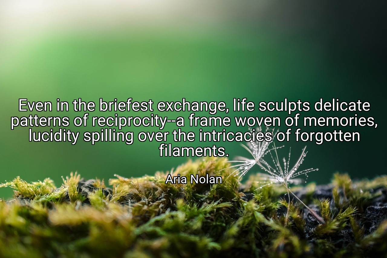 Even in the briefest exchange, life sculpts delicate patterns of reciprocity--a frame woven of memories, lucidity spilling over the intricacies of forgotten filaments. - Aria Nolan