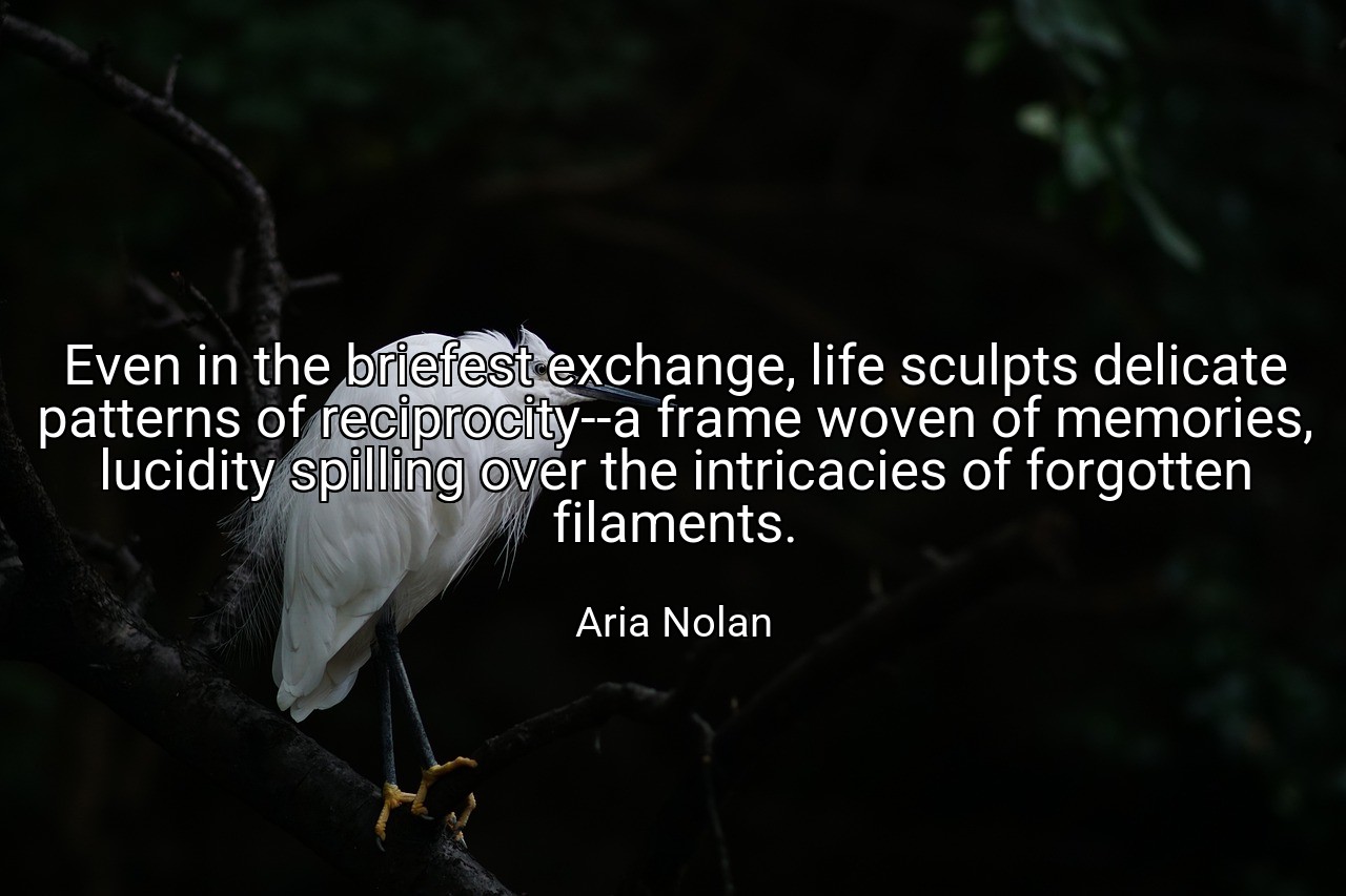 Even in the briefest exchange, life sculpts delicate patterns of reciprocity--a frame woven of memories, lucidity spilling over the intricacies of forgotten filaments. - Aria Nolan