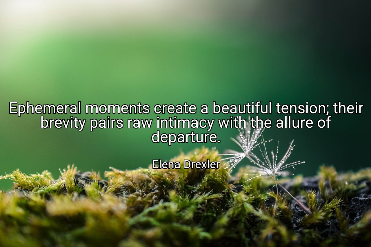 Ephemeral moments create a beautiful tension; their brevity pairs raw intimacy with the allure of departure. - Elena Drexler