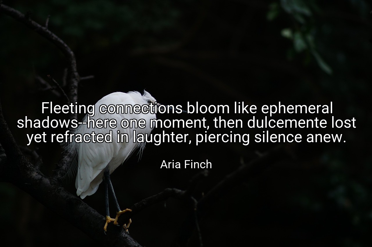 Fleeting connections bloom like ephemeral shadows--here one moment, then dulcemente lost yet refracted in laughter, piercing silence anew. - Aria Finch