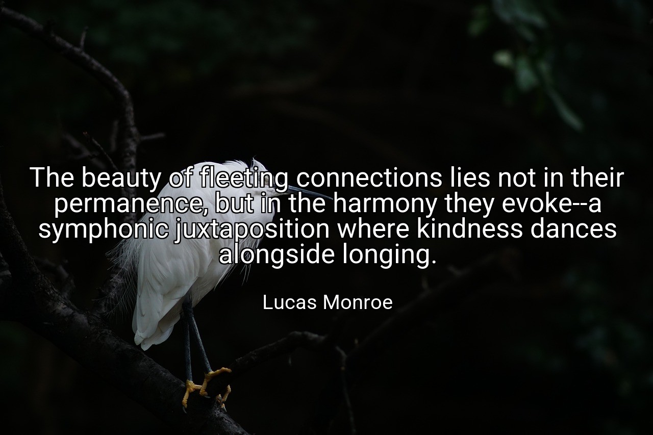 The beauty of fleeting connections lies not in their permanence, but in the harmony they evoke--a symphonic juxtaposition where kindness dances alongside longing. - Lucas Monroe