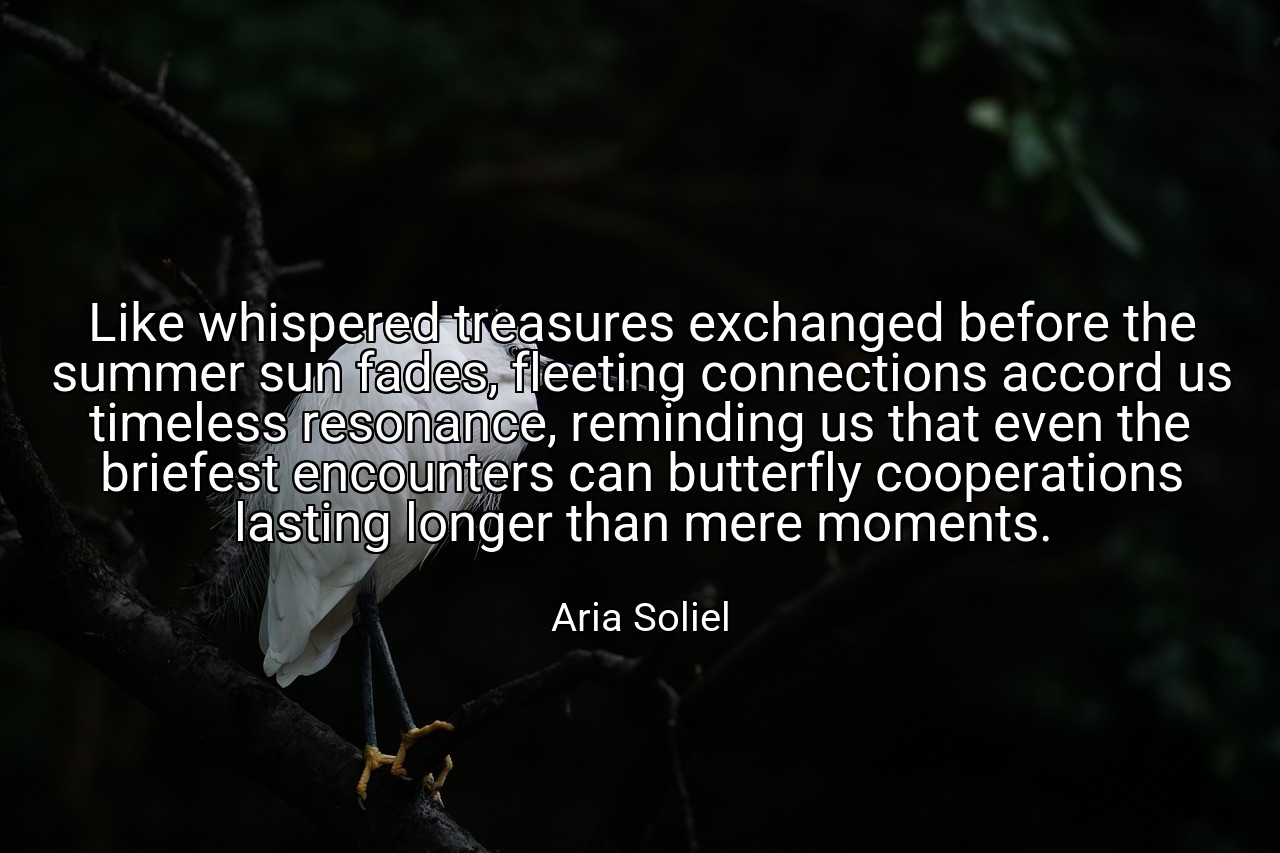 Like whispered treasures exchanged before the summer sun fades, fleeting connections accord us timeless resonance, reminding us that even the briefest encounters can butterfly cooperations lasting longer than mere moments. - Aria Soliel