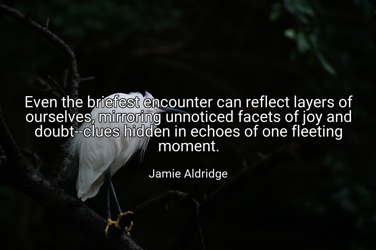 Even the briefest encounter can reflect layers of ourselves, mirroring unnoticed facets of joy and doubt--clues hidden in echoes of one fleeting moment. - Jamie Aldridge