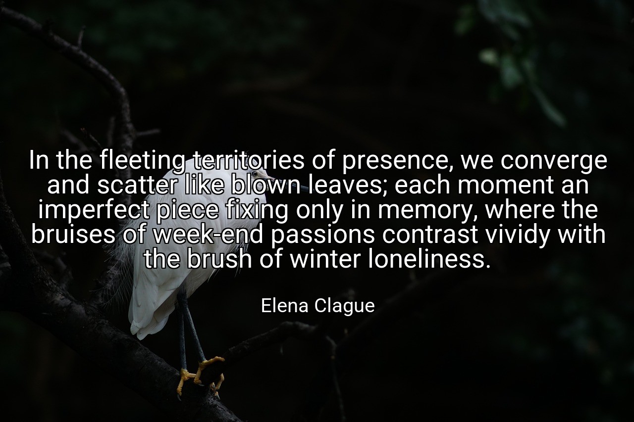 In the fleeting territories of presence, we converge and scatter like blown leaves; each moment an imperfect piece fixing only in memory, where the bruises of week-end passions contrast vividy with the brush of winter loneliness. - Elena Clague