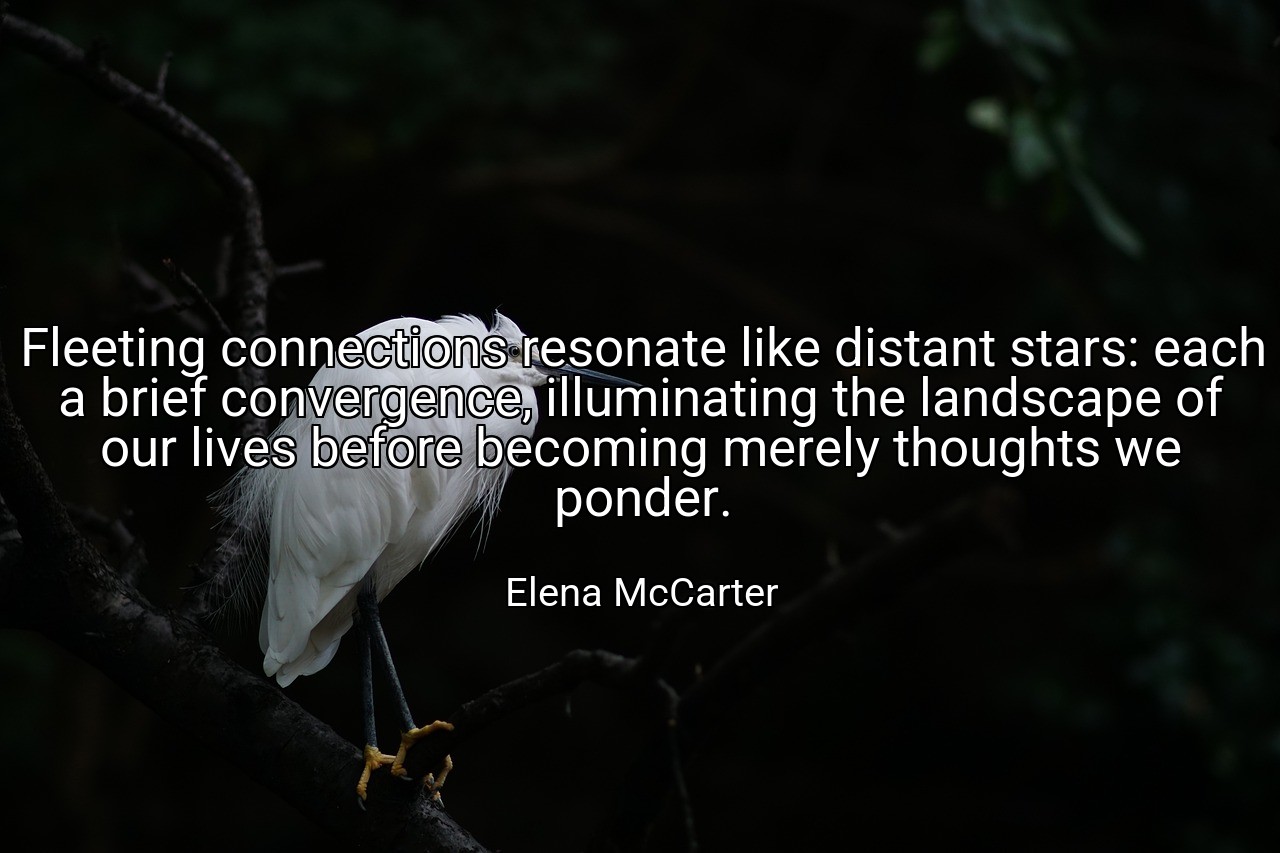 Fleeting connections resonate like distant stars: each a brief convergence, illuminating the landscape of our lives before becoming merely thoughts we ponder. - Elena McCarter