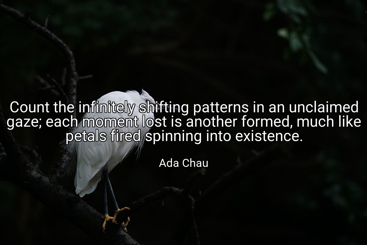 Count the infinitely shifting patterns in an unclaimed gaze; each moment lost is another formed, much like petals fired spinning into existence. - Ada Chau