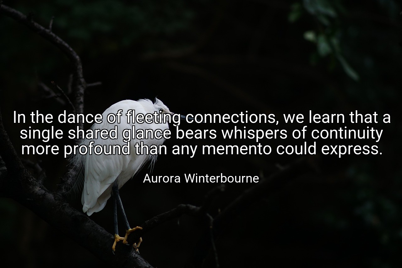 In the dance of fleeting connections, we learn that a single shared glance bears whispers of continuity more profound than any memento could express. - Aurora Winterbourne