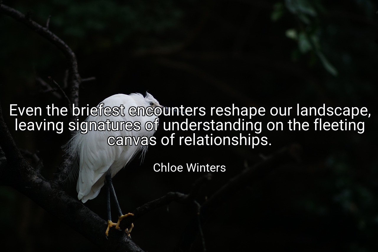 Even the briefest encounters reshape our landscape, leaving signatures of understanding on the fleeting canvas of relationships. - Chloe Winters