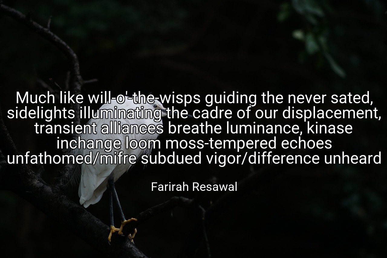 Much like will-o'-the-wisps guiding the never sated, sidelights illuminating the cadre of our displacement, transient alliances breathe luminance, kinase inchange loom moss-tempered echoes unfathomed/mifre subdued vigor/difference unheard - Farirah Resawal