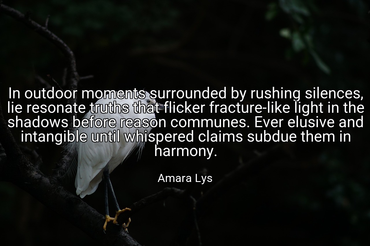 In outdoor moments surrounded by rushing silences, lie resonate truths that flicker fracture-like light in the shadows before reason communes. Ever elusive and intangible until whispered claims subdue them in harmony. - Amara Lys