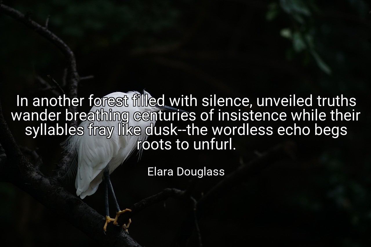 In another forest filled with silence, unveiled truths wander breathing centuries of insistence while their syllables fray like dusk--the wordless echo begs roots to unfurl. - Elara Douglass