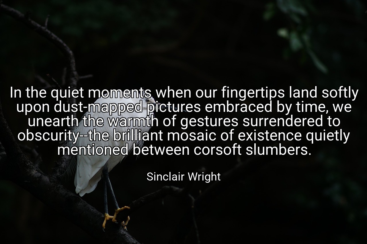 In the quiet moments when our fingertips land softly upon dust-mapped pictures embraced by time, we unearth the warmth of gestures surrendered to obscurity--the brilliant mosaic of existence quietly mentioned between corsoft slumbers. - Sinclair Wright