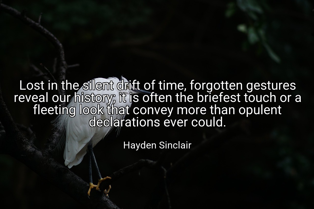 Lost in the silent drift of time, forgotten gestures reveal our history; it is often the briefest touch or a fleeting look that convey more than opulent declarations ever could. - Hayden Sinclair