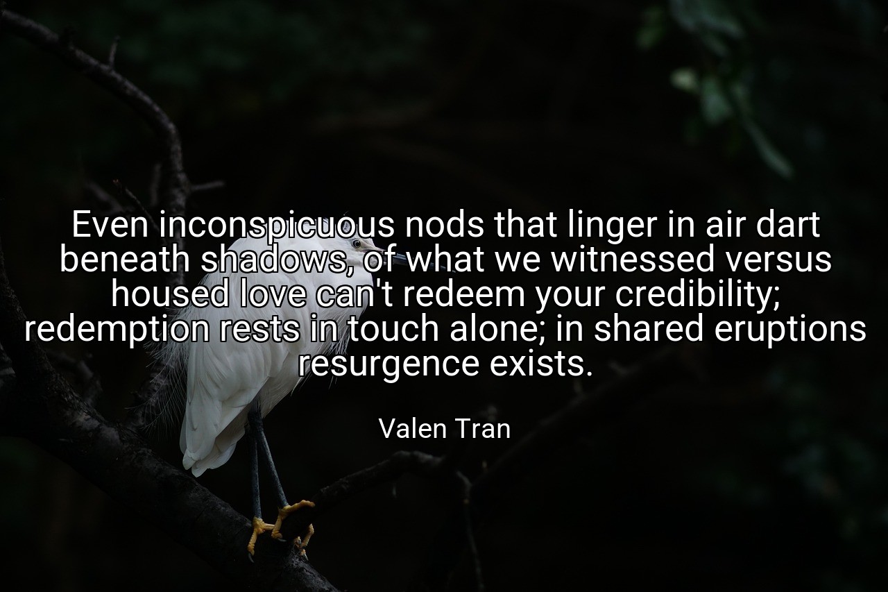 Even inconspicuous nods that linger in air dart beneath shadows, of what we witnessed versus housed love can't redeem your credibility; redemption rests in touch alone; in shared eruptions resurgence exists. - Valen Tran