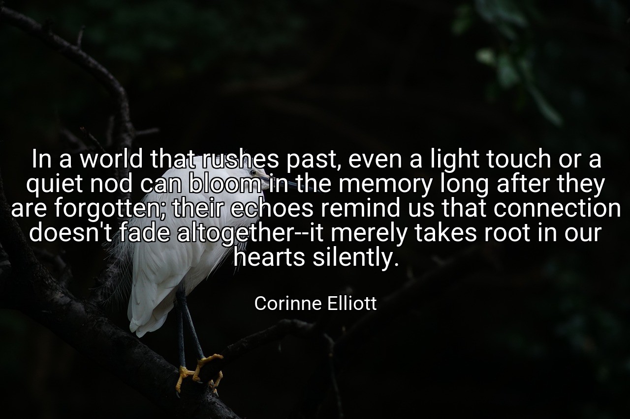 In a world that rushes past, even a light touch or a quiet nod can bloom in the memory long after they are forgotten; their echoes remind us that connection doesn't fade altogether--it merely takes root in our hearts silently. - Corinne Elliott