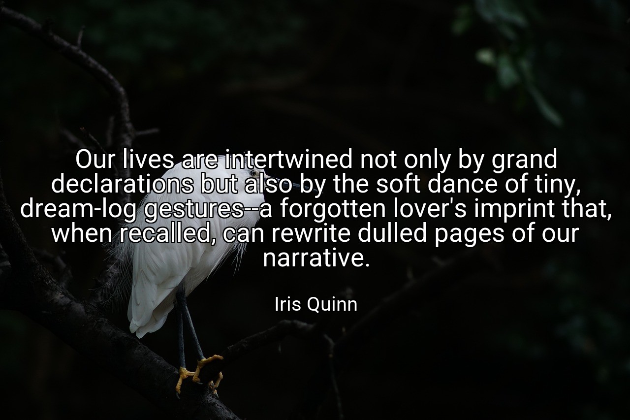 Our lives are intertwined not only by grand declarations but also by the soft dance of tiny, dream-log gestures--a forgotten lover's imprint that, when recalled, can rewrite dulled pages of our narrative. - Iris Quinn