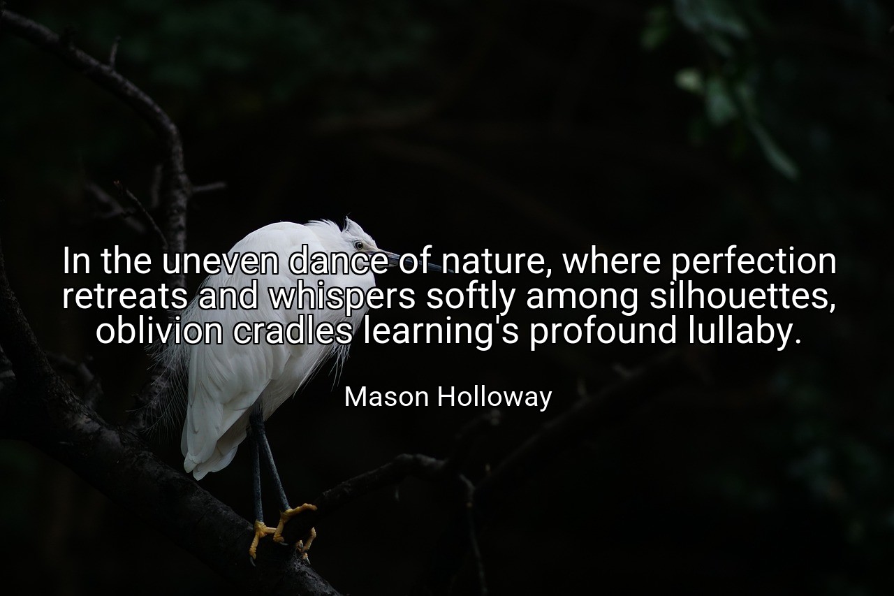 In the uneven dance of nature, where perfection retreats and whispers softly among silhouettes, oblivion cradles learning's profound lullaby. - Mason Holloway