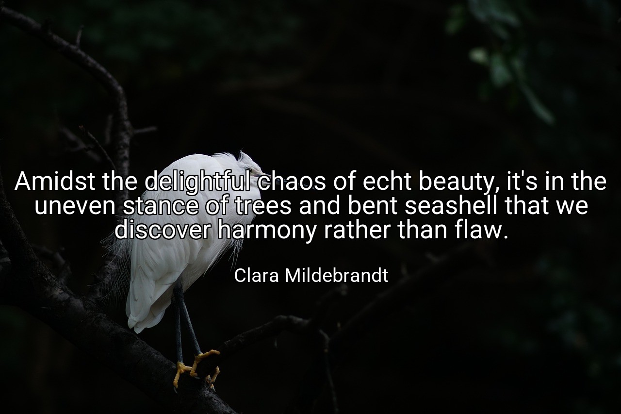 Amidst the delightful chaos of echt beauty, it's in the uneven stance of trees and bent seashell that we discover harmony rather than flaw. - Clara Mildebrandt