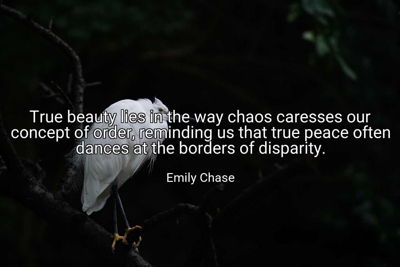 True beauty lies in the way chaos caresses our concept of order, reminding us that true peace often dances at the borders of disparity. - Emily Chase
