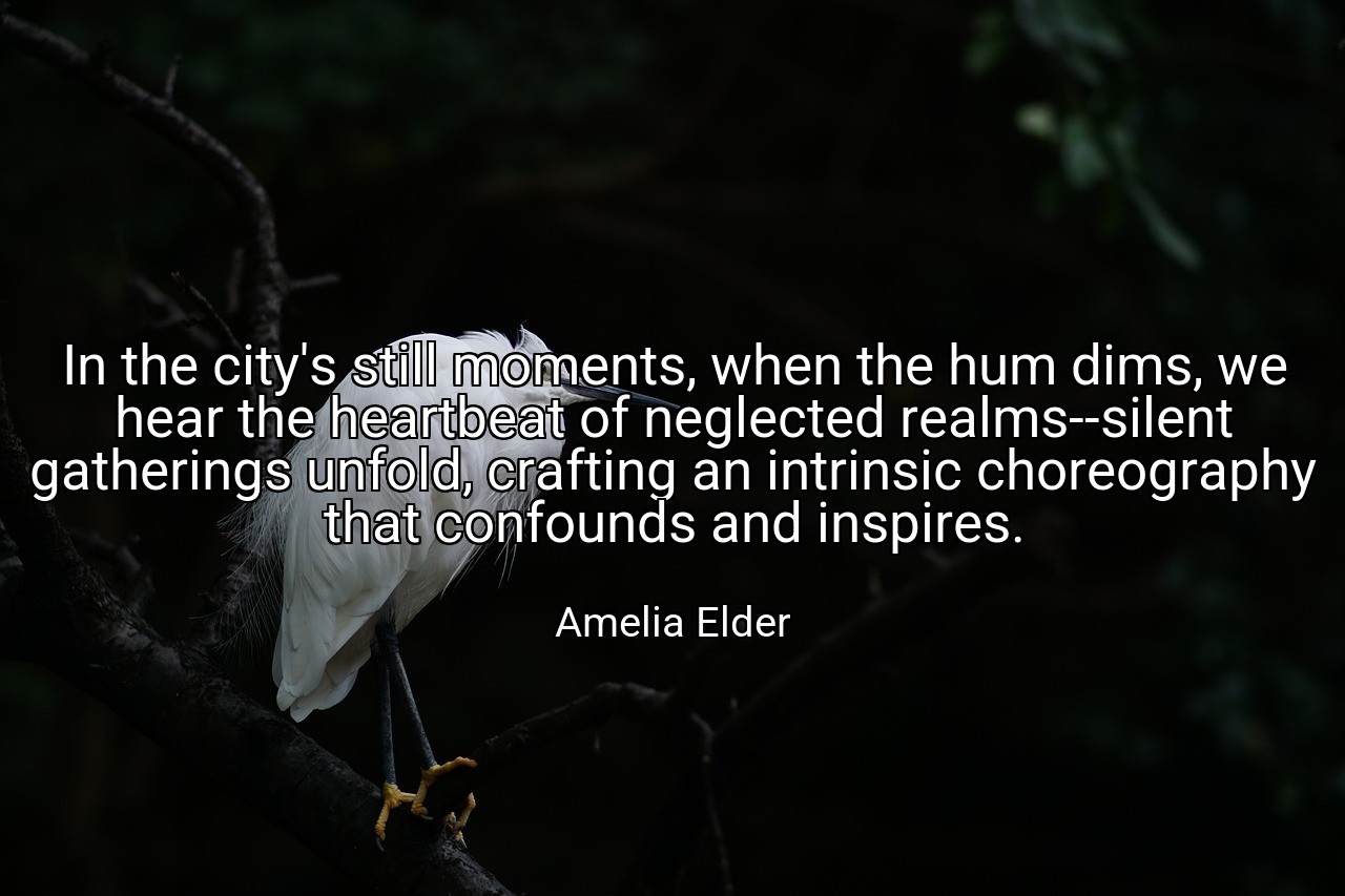 In the city's still moments, when the hum dims, we hear the heartbeat of neglected realms--silent gatherings unfold, crafting an intrinsic choreography that confounds and inspires. - Amelia Elder