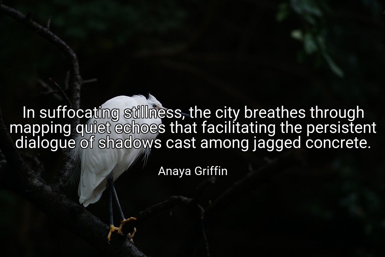 In suffocating stillness, the city breathes through mapping quiet echoes that facilitating the persistent dialogue of shadows cast among jagged concrete. - Anaya Griffin