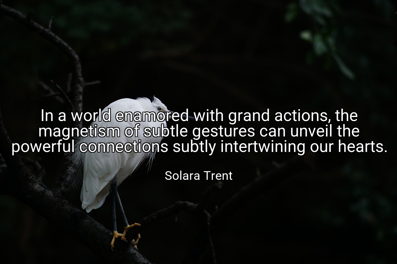 In a world enamored with grand actions, the magnetism of subtle gestures can unveil the powerful connections subtly intertwining our hearts. - Solara Trent